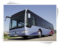 Mercedes Bus