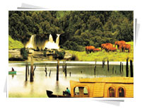 Gods Own Country Kerala Tours